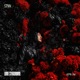 Love Syndrome Single