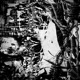 White Noise Single