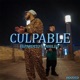Culpable Single