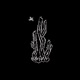 Lofi Caatinga Single
