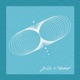 Drain Single