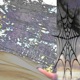 Web Single