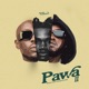 Pawa II feat Bien Khaligraph Jones Single