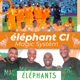 Eléphants Single
