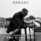 Omo Ologo DAYA feat RS Single