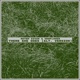 There She Goes Alt Version Single