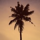Nowhere Single
