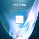 Boomerang Single