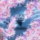 Crystal Bloom Single
