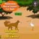 Malayalam Moral Stories For Kids The Wolf and the Crane Single