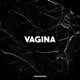 Vagina feat GroovePube Single