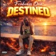 Destined Single