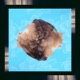 eF Urt Single