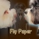 Fly Paper Single
