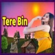 Tere Bin Single