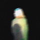 Lost Mind Single