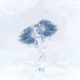 不结 Single