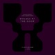 Wolves at the Door Sunlounger Shogun Remixes EP