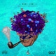 Mary Jane feat Truey Donatello Single