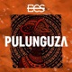 Pulunguza Single