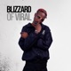 Blizzard of Viral EP