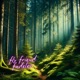 fadeless Single