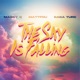 The Sky Is Falling Single