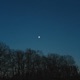 peace in blue Single