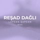 Lapdan Şapdan Remix Single