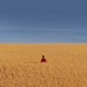 Lost in the Rhythm feat Animals As Leaders Single
