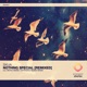 Nothing Special Remixed Single