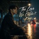 The Love We Couldn t Keep Single