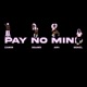 Pay No Mind Single