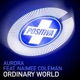 Ordinary World Remixes EP