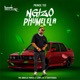 Ngizo Phumelela feat The Angelic Voices Leon Lee TshepisoDaDj Single