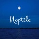 Noptile Single
