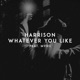 Whatever You Like feat MVRII Single