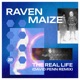 The Real Life feat Dave Lee David Penn Remix Single