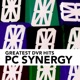 DVR Greatest PC Synergy