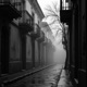 Lofi Rain Single