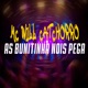 As Bunitinha Nois Pega Single