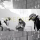 Presagio Single