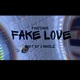 Fake Love Single