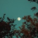 Sweet Dreams Single