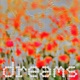 Dreams Single