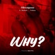 WHY feat MESHACH TEEBARN Single