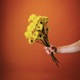 Know Better Single