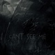 Can t See Me Single