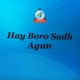 Hay Boro Sadh Single