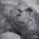 Tedm Bby Single